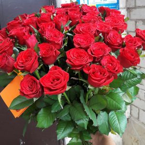 33 красные розы в Запорожье фото