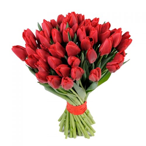 Фото товара 51 красный тюльпан в Запорожье