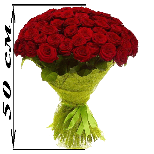 Фото товара 101 красная роза (50см) в Запорожье