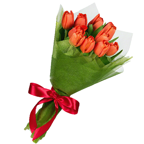 Фото товара 11 красных тюльпанов в Запорожье