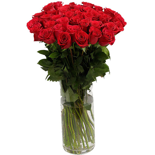 фото товара Троянда імпортна червона (поштучно) | «Букетик Запоріжжя»