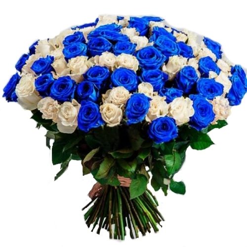 Фото товара 101 белая и синяя роза (крашеная) в Запорожье