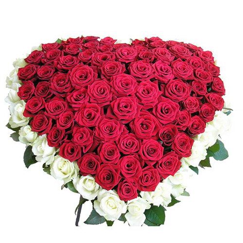 Фото товара 101 роза сердцем - красная, белая в Запорожье