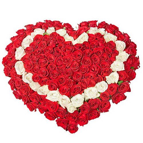 Фото товара 101 роза сердцем - три слоя в Запорожье