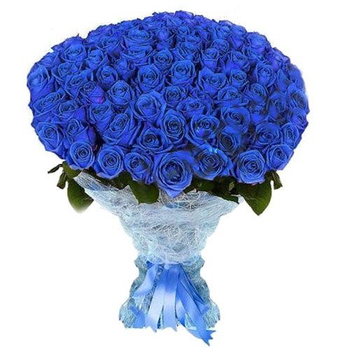 Фото товара 101 синяя роза (крашеная) в Запорожье