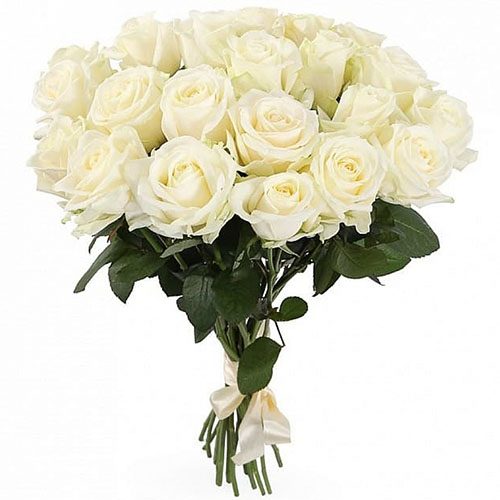 Фото товара 21 белая роза в Запорожье