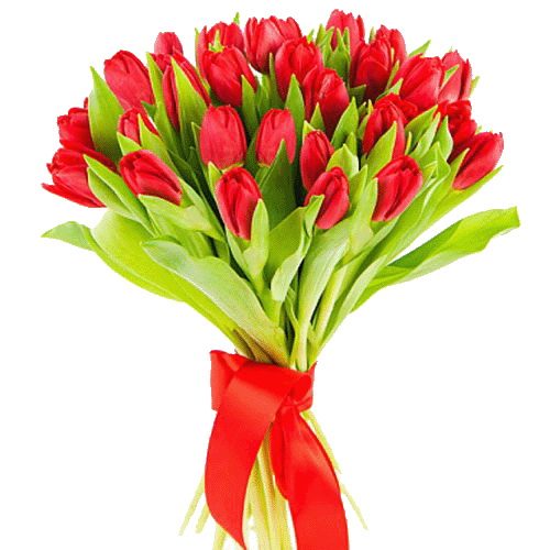 Фото товара 25 красных тюльпанов в Запорожье