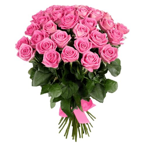 Фото товара 25 роз "Аква" в Запорожье