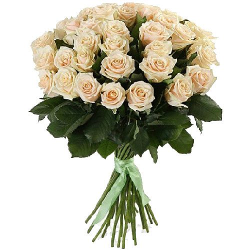 Фото товара 33 кремовые розы в Запорожье