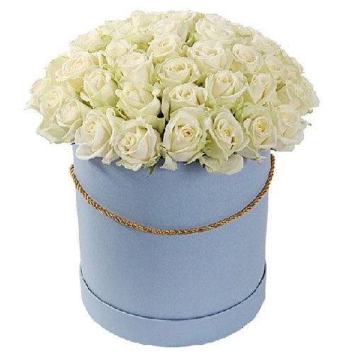 Фото товара 51 роза белая в шляпной коробке в Запорожье