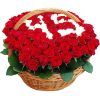 Фото товара 101 роза с числами в корзине в Запорожье