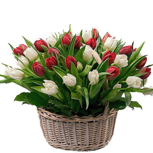 Фото товара 51 тюльпан в корзине в Запорожье