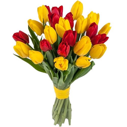 Фото товара 15 красно-жёлтых тюльпанов (с лентой) в Запорожье