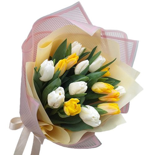 Фото товара 15 бело-жёлтых тюльпанов в Запорожье