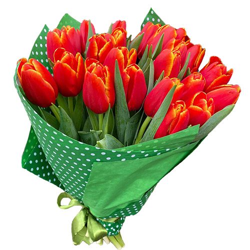 Фото товара 21 тюльпан "Маковый цвет" в Запорожье