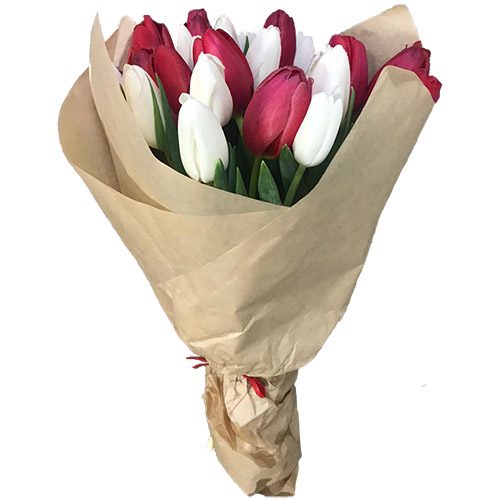 Фото товара 21 красно-белый тюльпан в крафт