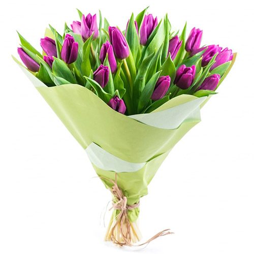 Фото товара 25 пурпурных тюльпанов в Запорожье