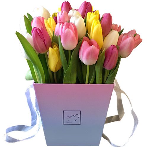 Фото товара 31 тюльпан "Весенний ветер" в квадратной коробке в Запорожье