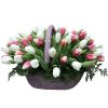 Фото товара 51 бело-розовый тюльпан в коробке в Запорожье
