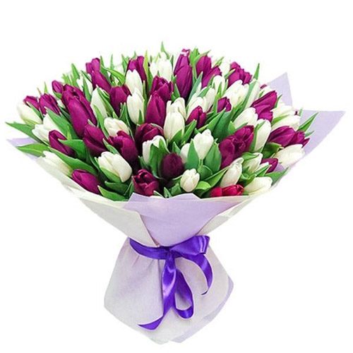 Фото товара 75 пурпурно-белых тюльпанов в Запорожье