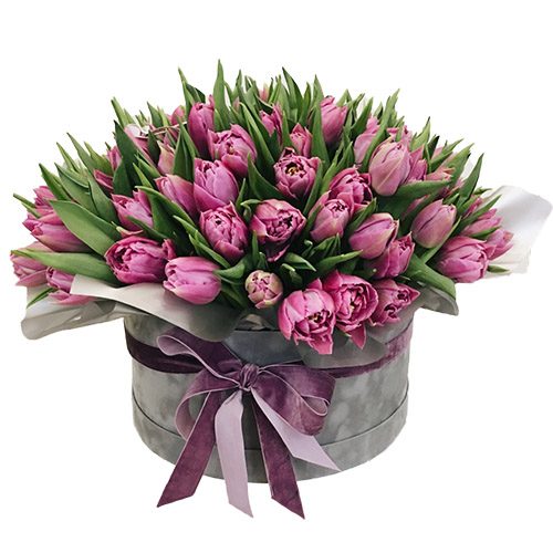 Фото товара 101 пурпурный тюльпан в коробке в Запорожье