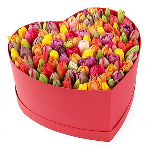 Фото товара 101 тюльпан в коробке сердцем