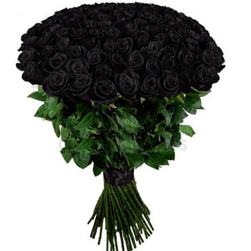 Фото товара 101 чёрная роза в Запорожье