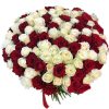 Фото товара 101 красная и белая роза в Запорожье