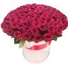 Фото товара 101 роза красная в шляпной коробке в Запорожье