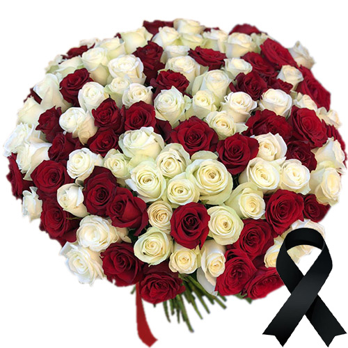 Фото товара 100 красно-белых роз в Запорожье