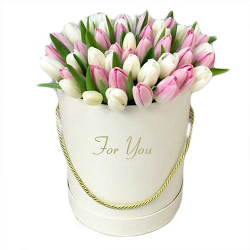 Фото товара 51 бело-розовый тюльпан в коробке в Запорожье