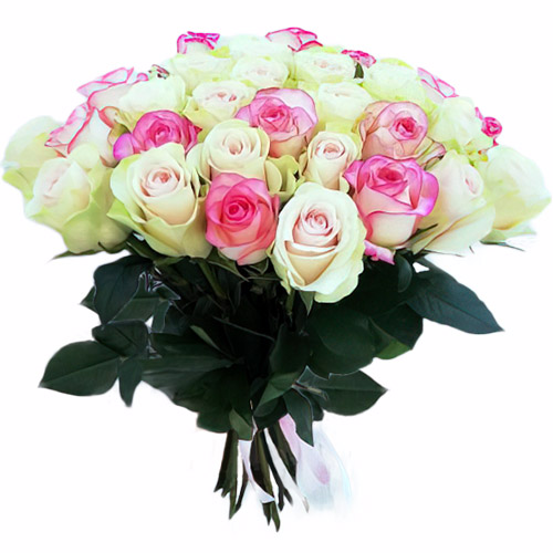 Фото товара 33 кремовые и розовые розы в Запорожье