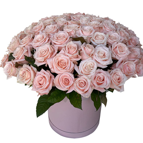 Фото товара 101 розовая роза в коробке в Запорожье