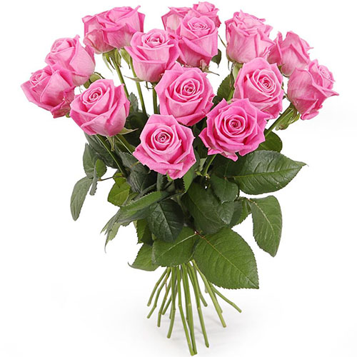 Фото товара 15 роз "Аква" в Запорожье