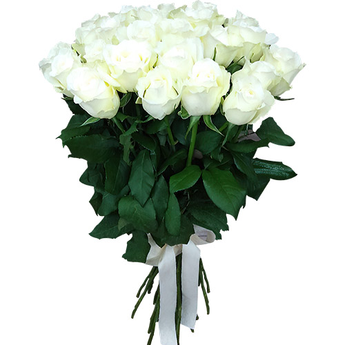 Фото товара 25 белых роз в Запорожье
