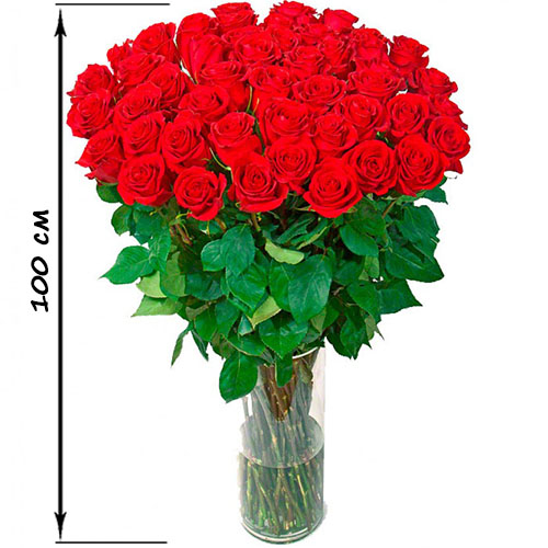 Фото товара 35 высоких роз (100 см) в Запорожье