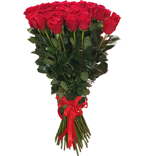 Фото товара 25 метровых роз "Фридом" в Запорожье