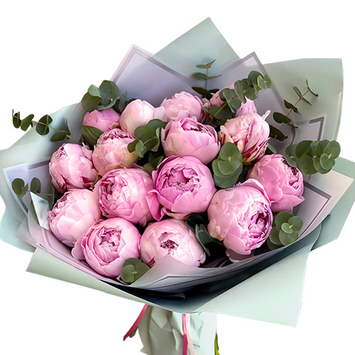 Фото товара 15 светло-розовых пионов с зеленью в Запорожье