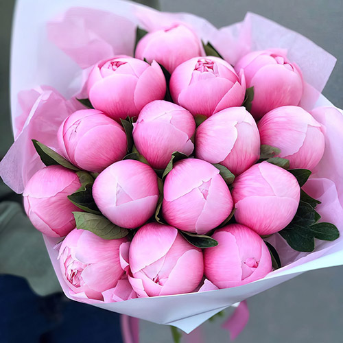 Фото товара 15 розовых пионов в Запорожье