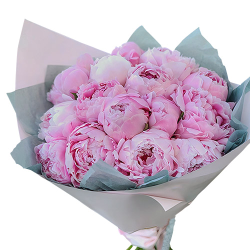 Фото товара 19 розовых пионов в Запорожье