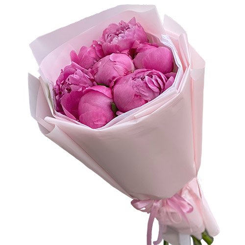 Фото товара 7 розовых пионов в Запорожье