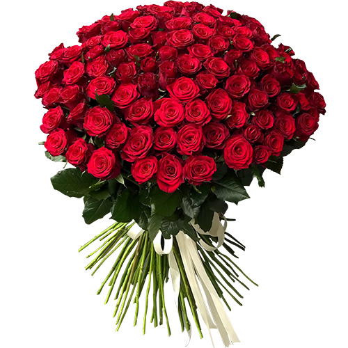 Фото товара 101 роза красная в Запорожье