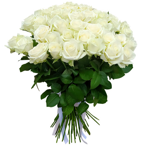 Фото товара 51 роза белая в Запорожье