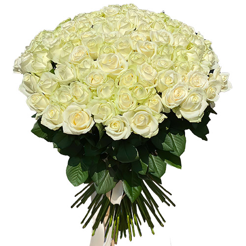 Фото товара 101 троянда біла в Запорожье
