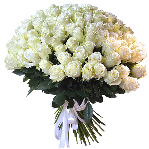 Фото товара 101 белая импортная роза в Запорожье