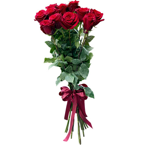 Фото товара 11 метровых роз в Запорожье