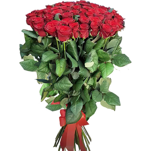 Фото товара Букет троянд 51 червона в Запорожье