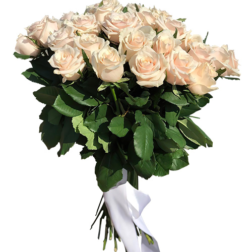 Фото товара Букет із 33 кремових троянд в Запорожье