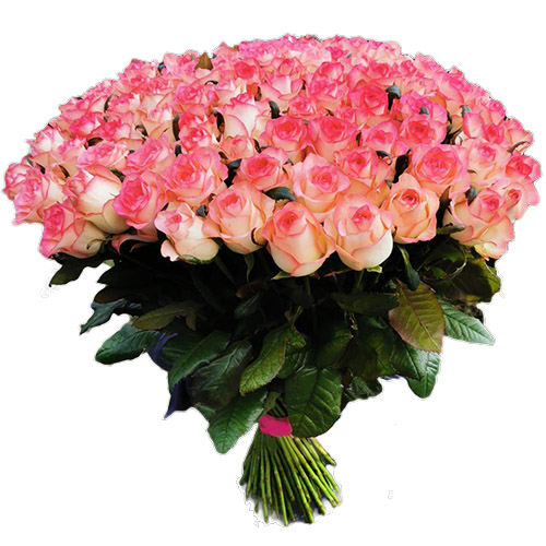Фото товара Букет троянд 101 Джамілія в Запорожье